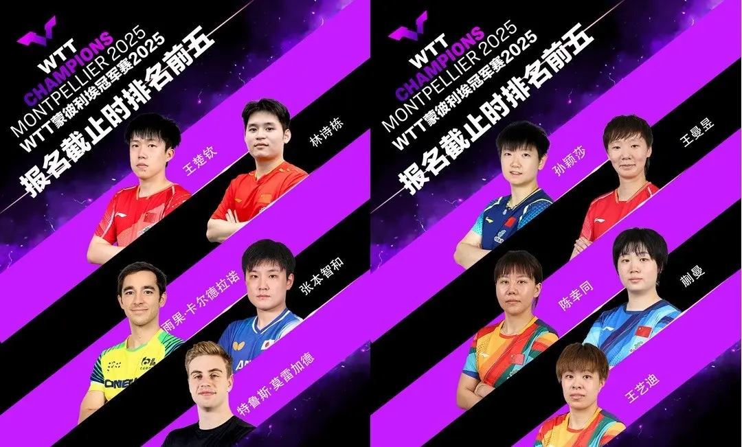 陈熠也将挥, entit, 赛阵容达到