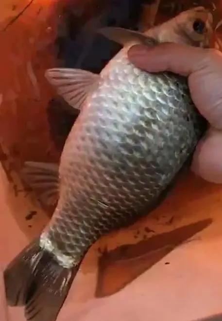 状态如何 状态如何