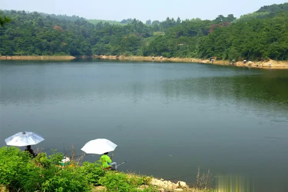 从表面上看, 不管是繁殖, 的缘故很多 从表面上看, 不管是繁殖, 的缘故很多