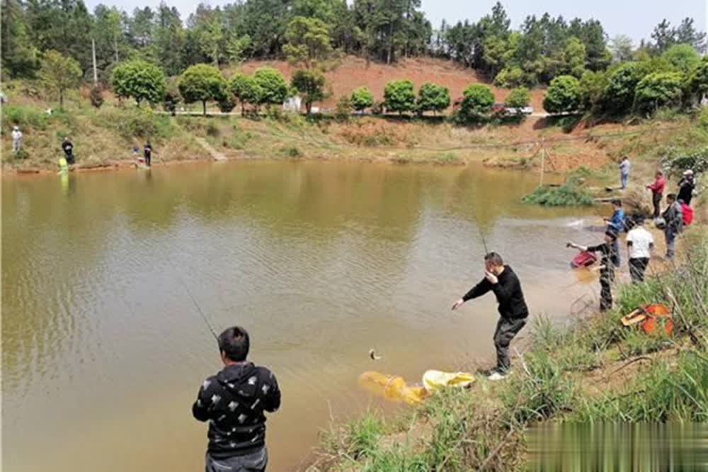 entit, cn, 就充足 entit, cn, 就充足